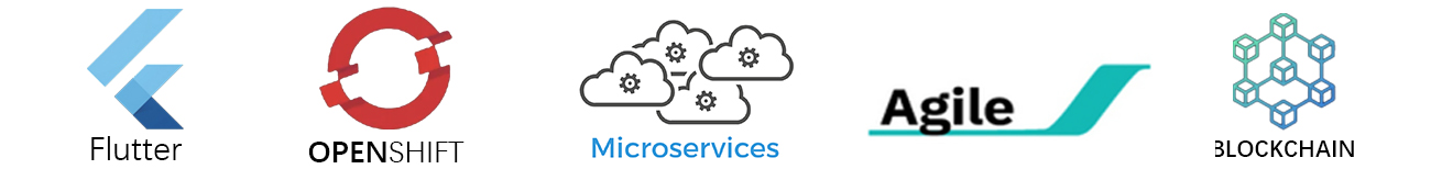 解决方案2：二手车交易解决方案